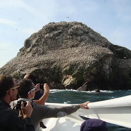 Expose Plein Sud Vu Sur Le Port De Plaisance Perros-Guirec